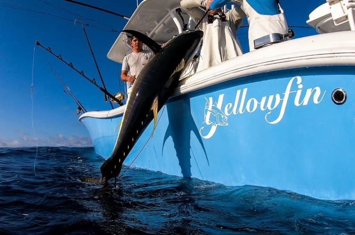 yellowfin-owners-group-18
